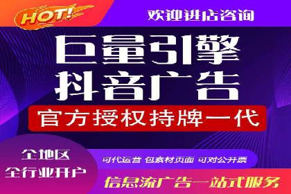 网络推广竞价策略解析与应用案例
